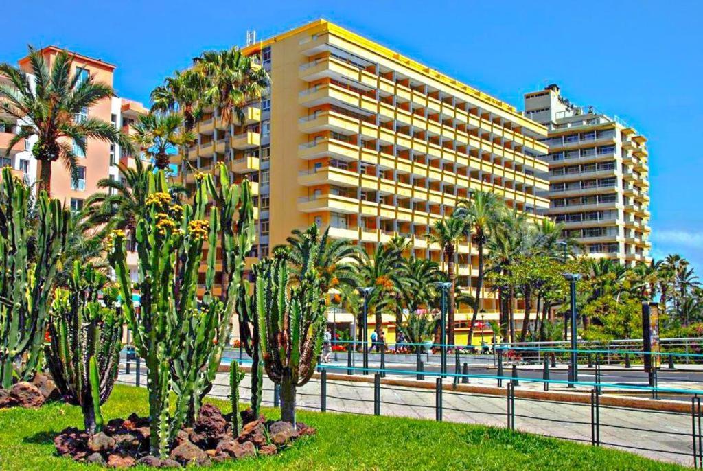 Acogedor Estudio En Martianez Puerto de la Cruz  Bagian luar foto